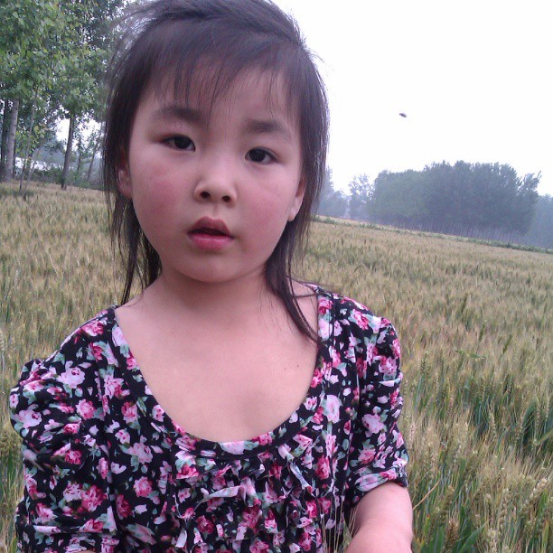 2013/07/18 — 无边无际的麦田