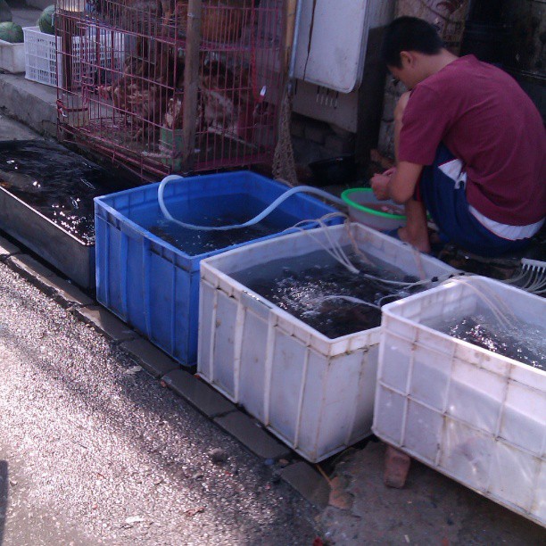 2013/07/21 — 进货路上2