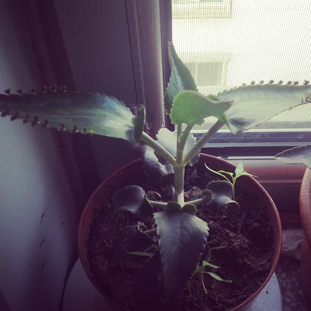 2013/06/29 — 2013/06/29