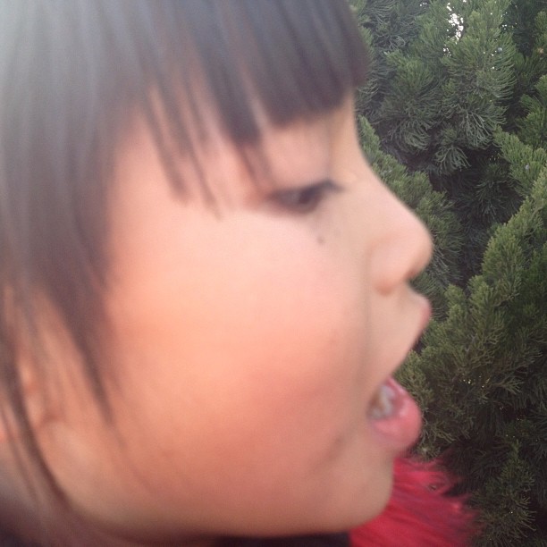 2013/06/30 — 2013/06/30