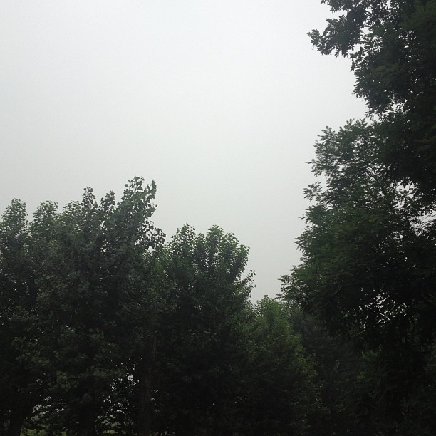 2013/07/01 — 2013/07/01