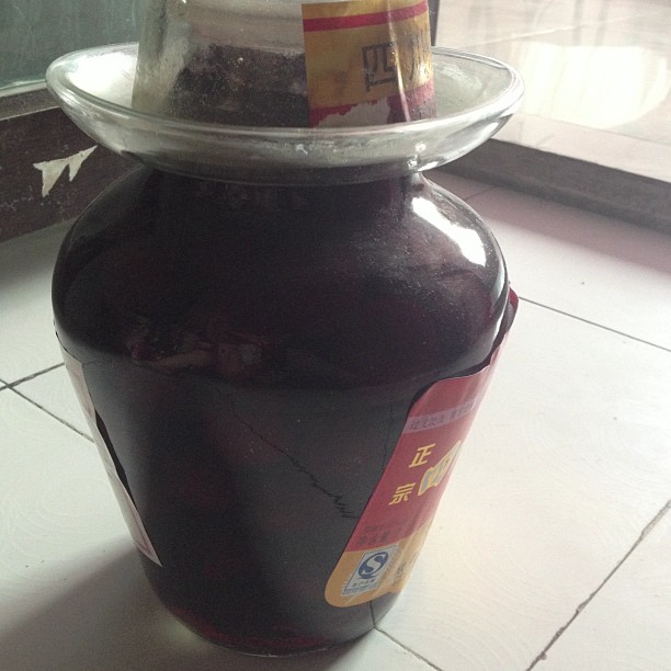 2013/07/08 — 酝踉中的杨梅酒，期待它的美味（刘欣）