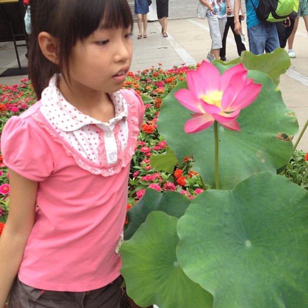 2013/07/19 — 都舍不得离开了