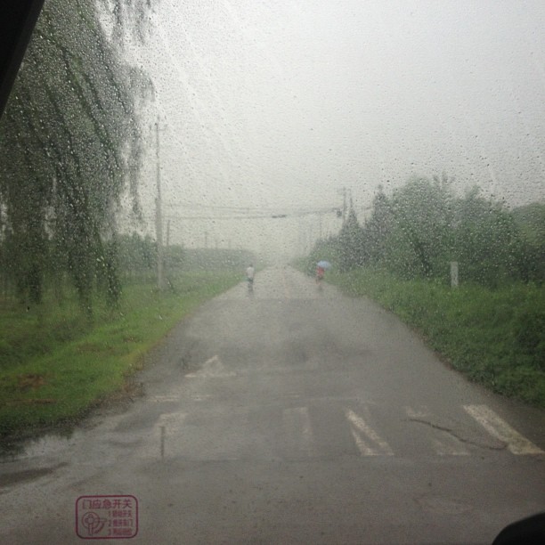 2013/07/27 — 雨中小道