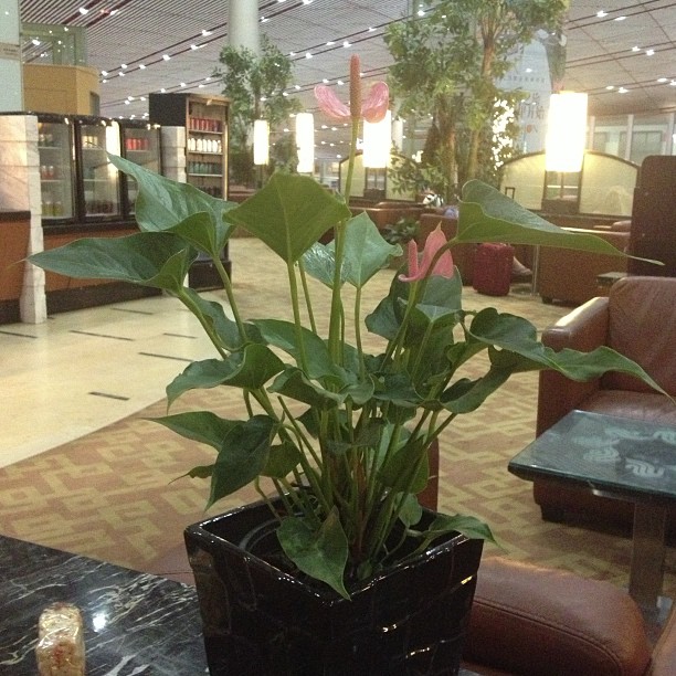 2013/08/03 — 机场休息区