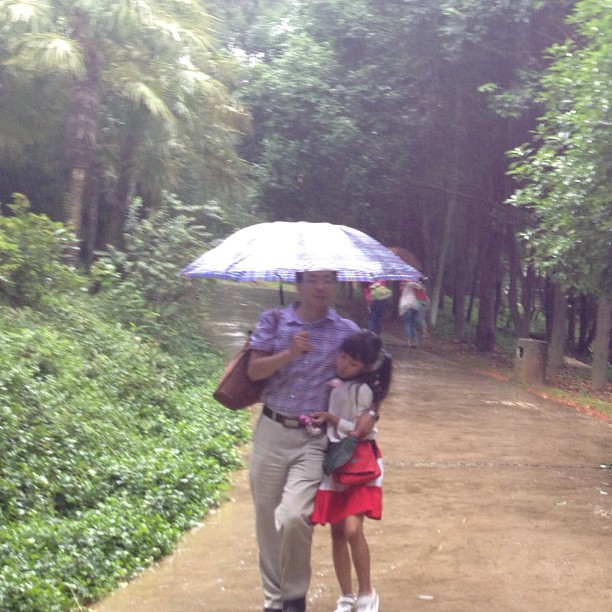 2013/08/08 — 风雨中依然前行