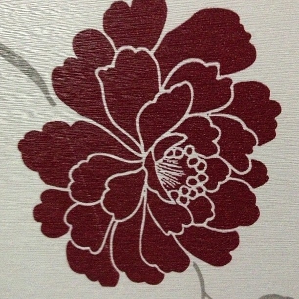 2013/08/30 — 花也有白日红哦