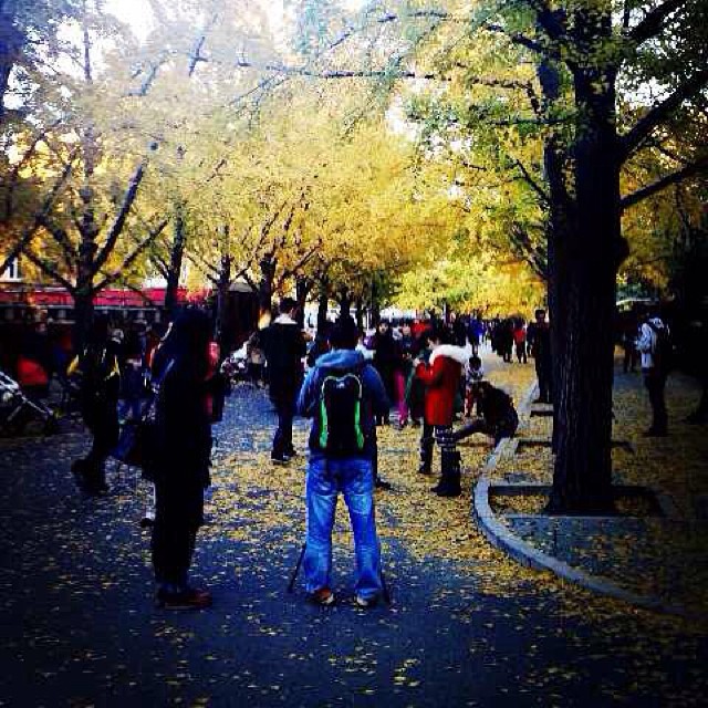 2013/11/05 — 2013/11/05