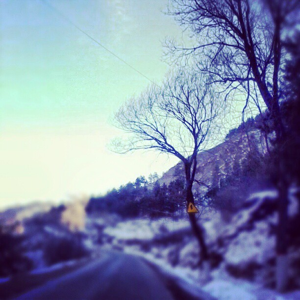 2013/02/08 — 美景共享@