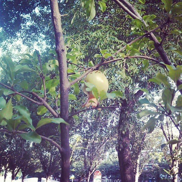 2013/07/05 — 2013/07/05