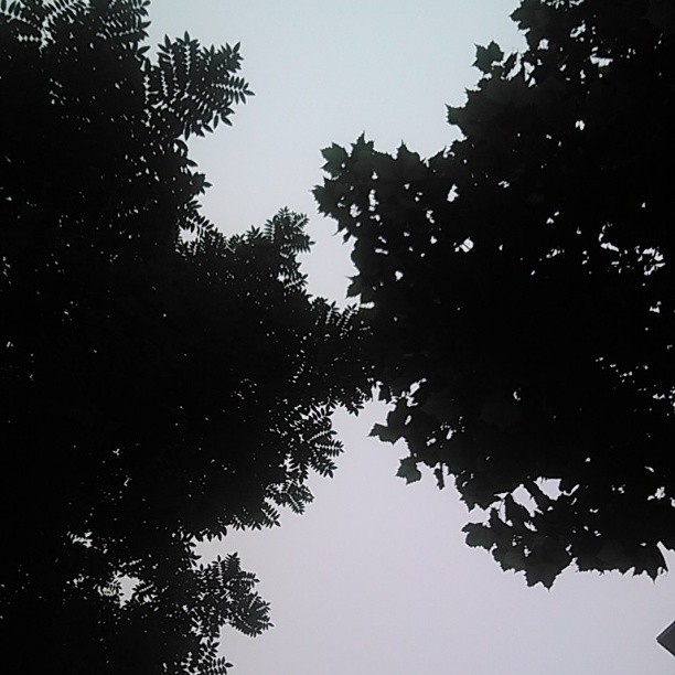 2013/07/05 — 2013/07/05