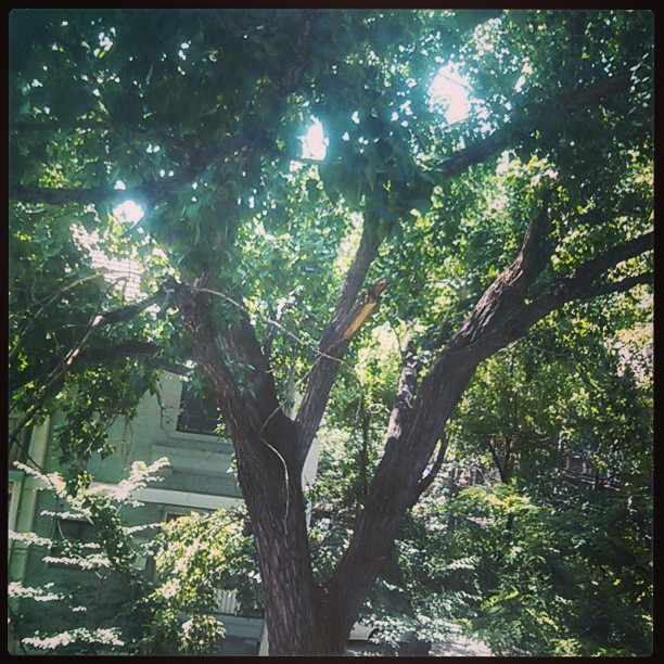 2013/07/05 — 2013/07/05