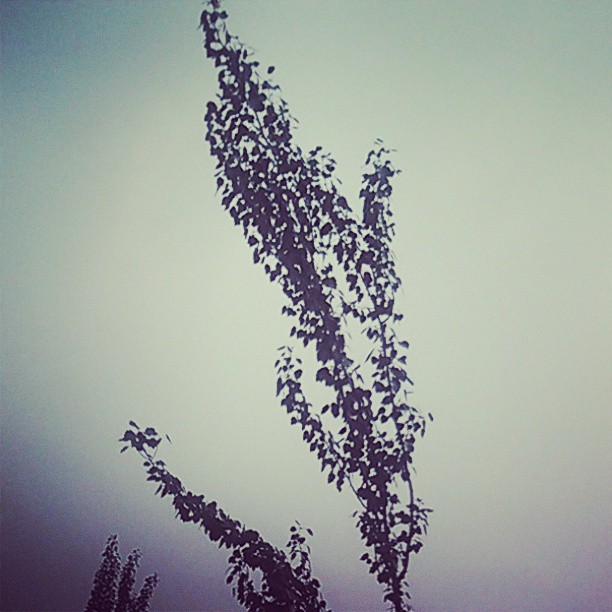 2013/07/13 — 2013/07/13