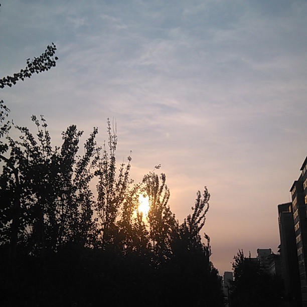 2013/08/03 — 早上的日出真叫一个（美）（文琼在上班路上拍）