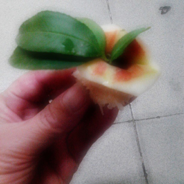 2013/08/09 — 我今天在单位上班，休息时间吃的桃，桃骨上面我还留着三片叶子（文琼拍）
