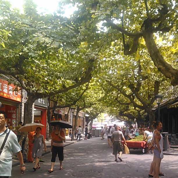 2013/08/19 — 都江堰的幸福街，这都是自然绿色，我没加一点颜色（文琼拍的）