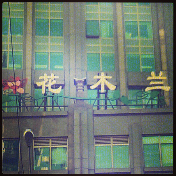2013/08/29 — 从前有个花木兰，现在有了木兰花（文琼今天第一次和同事去跑业务拍的）