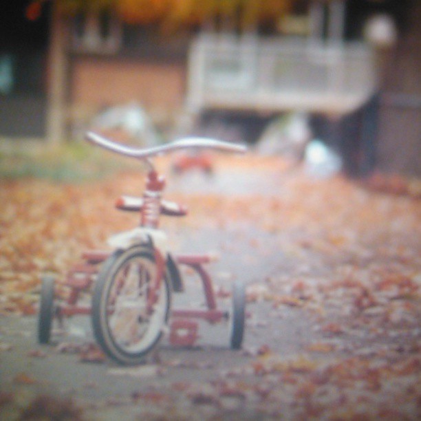2013/09/10 — 现在的孩子真幸福，从小玩具，玩具车，骑的车，什么都有，我们小时什么都没有，看看小车好美（文琼拍）