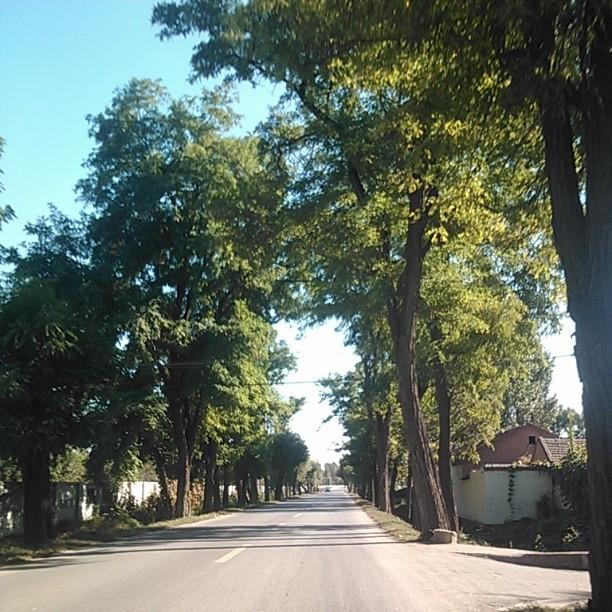 2013/10/05 — 去小汤山，回来的路上，拍的风景真美呀（文琼拍的）