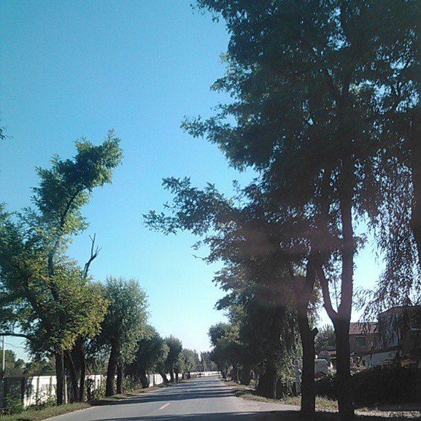 2013/10/05 — 蓝色的天空，绿色的树叶，太美了，（文琼拍的）
