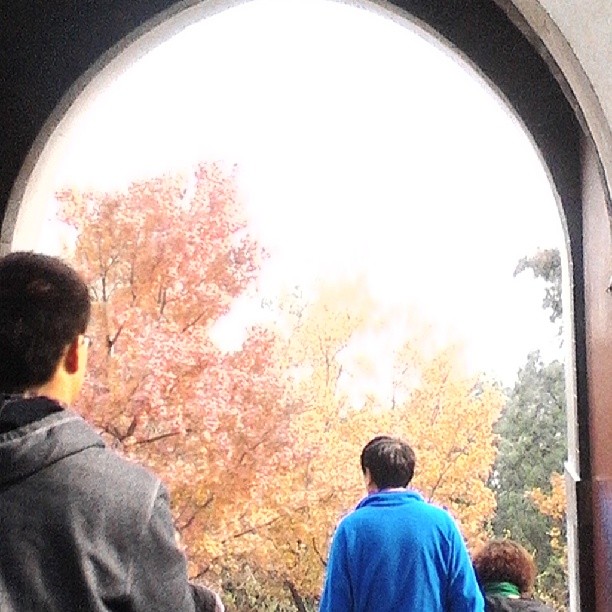 2013/11/10 — 在香山（文琼拍的）