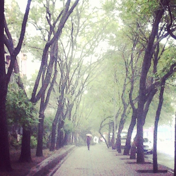 2014/04/20 — 每天上班，早上虽然起的太早，走的太早，（他们她们）有些人都觉得很辛苦，我以前也有过这种想法，看法，但是为了生活，为了老人…