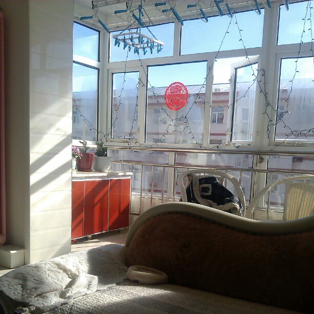 2013/02/09 — 老家的阳光