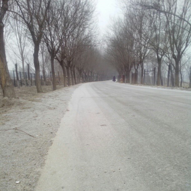 2013/02/25 — 立春来的第一场雪，地上已渐渐发白
