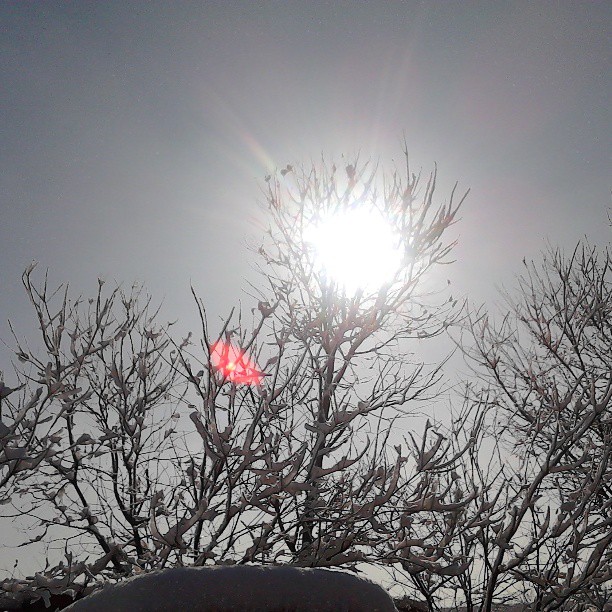 2013/03/21 — 2013/03/21