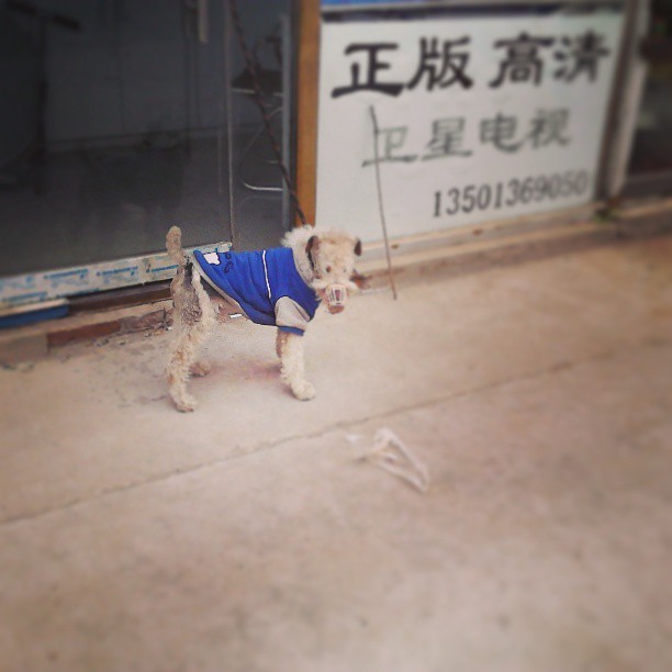 2013/04/28 — 爱我就请善待我。