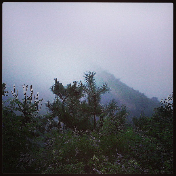 2013/07/27 — 只见浓雾不见山。（水长城）
