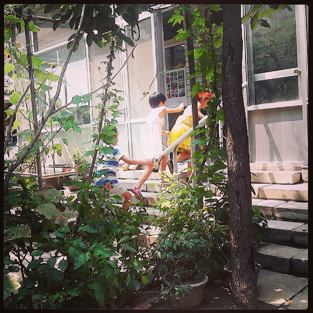 2013/07/31 — 打闹。