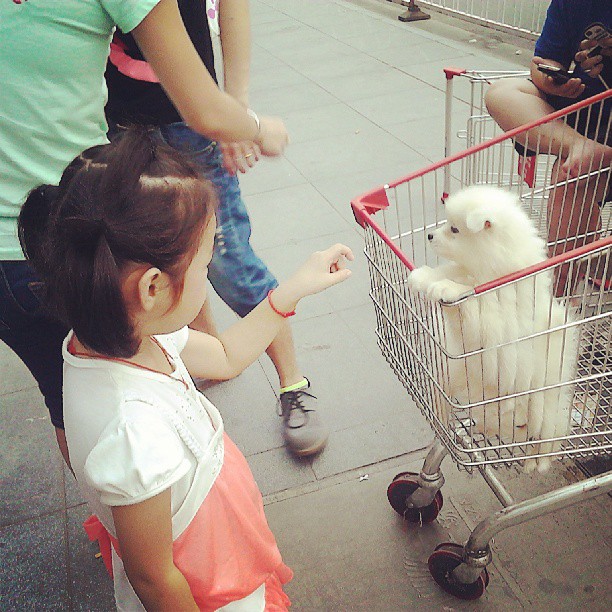 2013/08/13 — 逗狗狗玩。