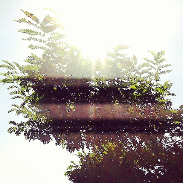 2013/08/17 — 艳阳高照。（海陀山）