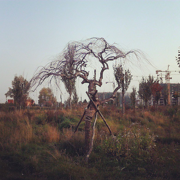 2013/09/19 — 2013/09/19