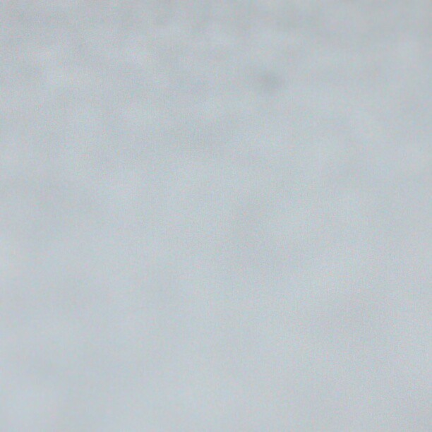 2013/02/09 — 看，昨天下的雪，一粒一粒的，跟白砂糖差不多