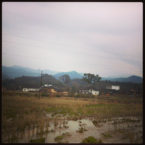 2013/02/11 — 美丽的乡村