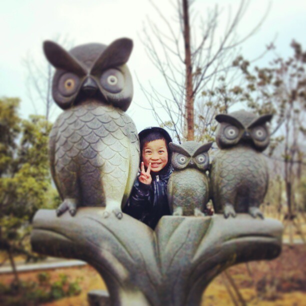2013/02/14 — 猫头鹰