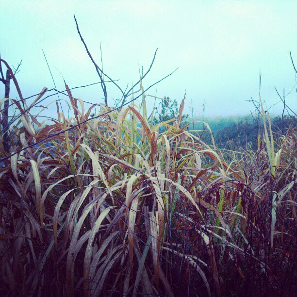 2013/02/19 — 2013/02/19