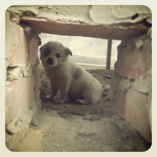 2013/03/17 — D
