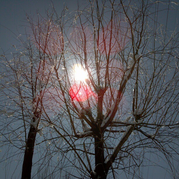 2013/03/20 — 2013/03/20