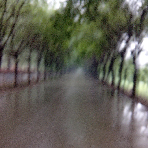 2013/07/15 — 在雨中疾驰