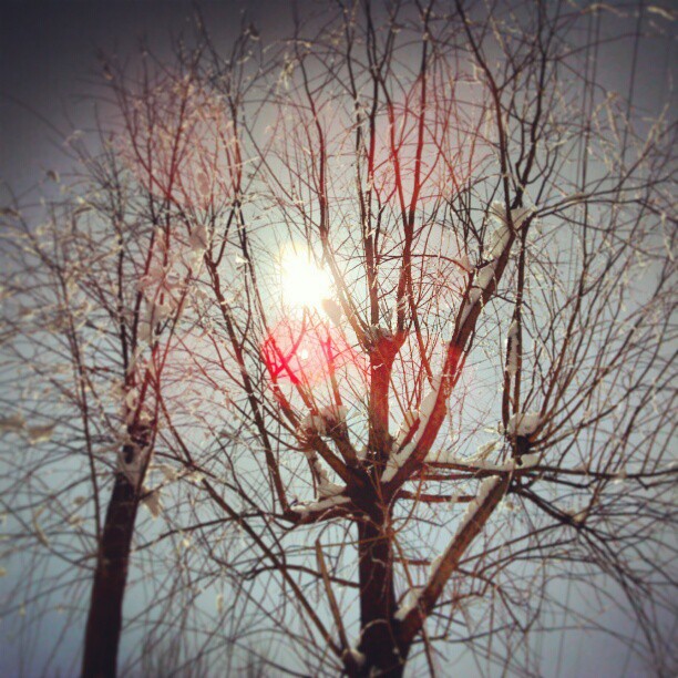 2013/03/20 — 2013/03/20