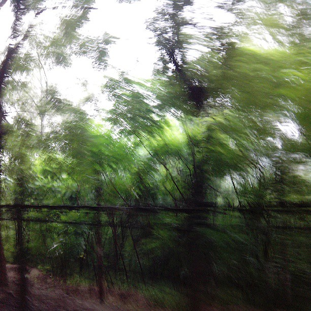 2013/07/15 — 2013/07/15