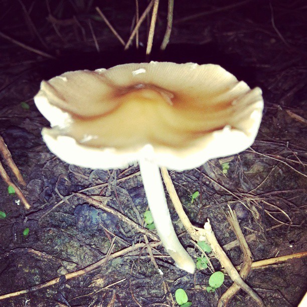 2013/07/10 — 2013/07/10