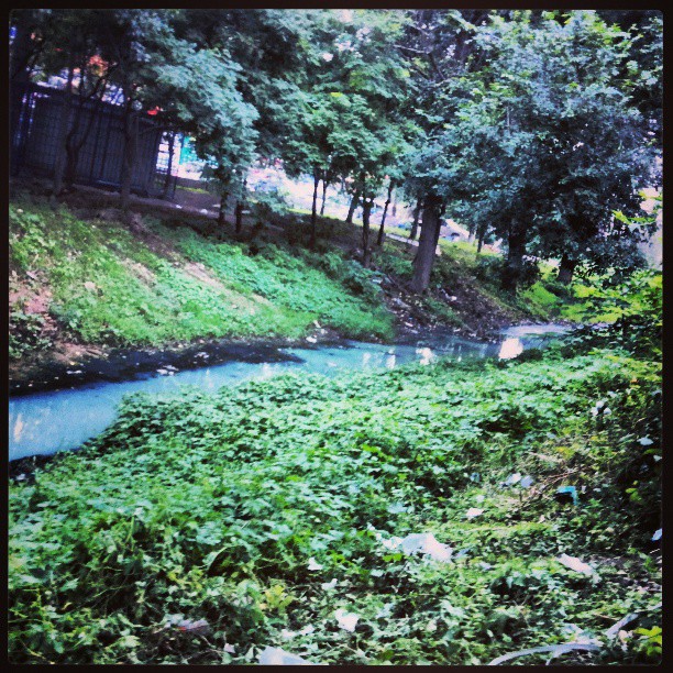 2013/07/13 — 东沙村外乳白色的河流。（我在东沙村口，春分）