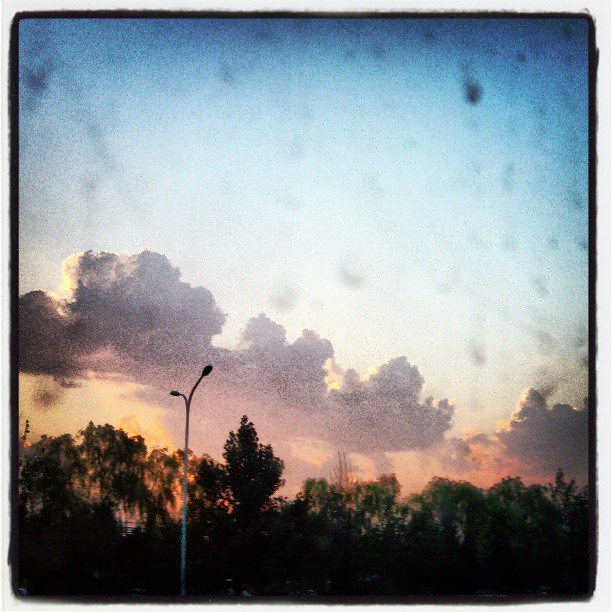 2013/07/23 — 叠影，夕阳，树，云