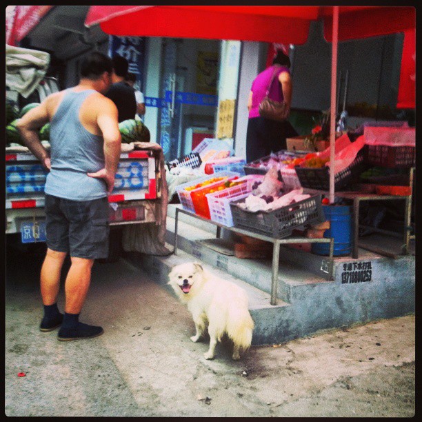 2013/08/23 — 拍我干啥子