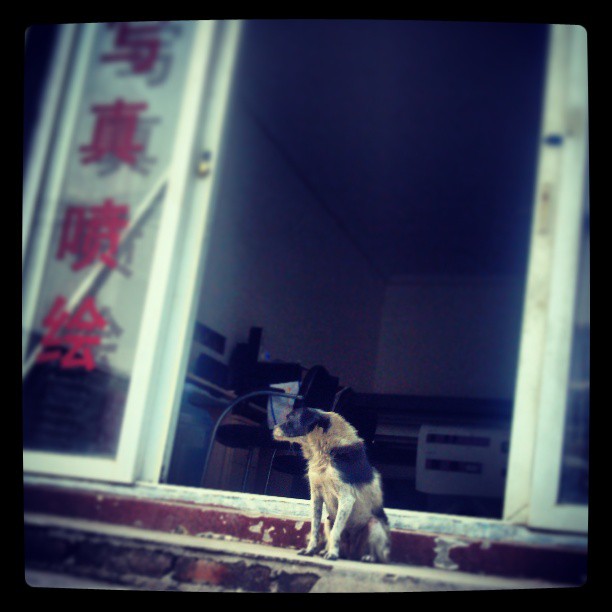 2013/09/05 — 看门