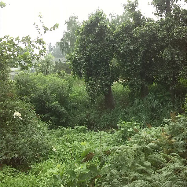 2013/07/13 — 公交车上摄